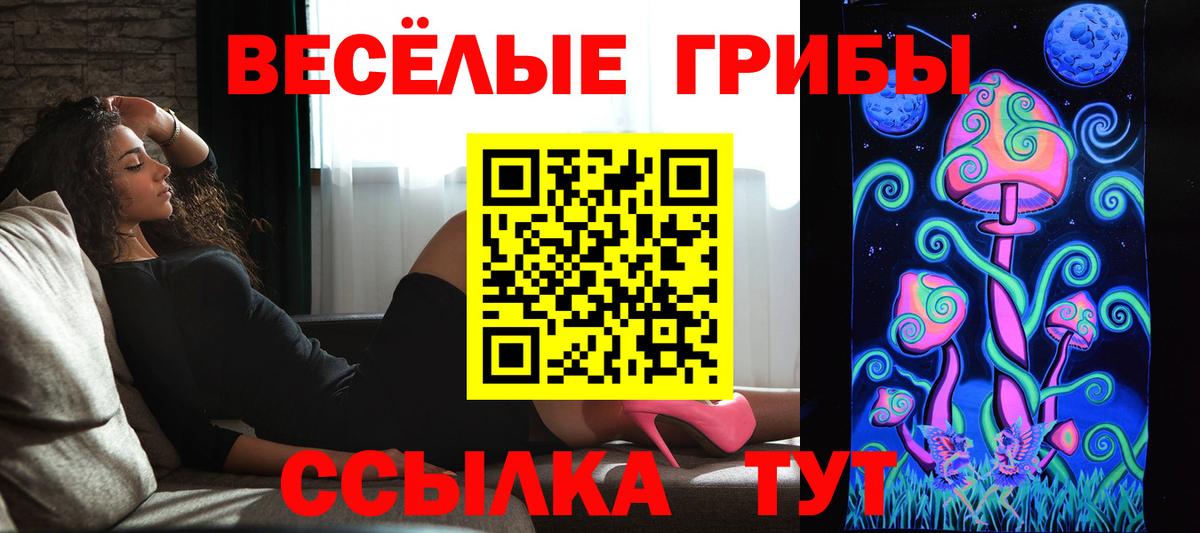 Псилоцибиновые грибы мицелий Бузулук